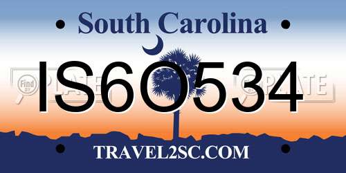 IS6O534 South Carolina License Plate