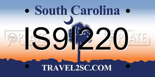 IS9I220 South Carolina License Plate