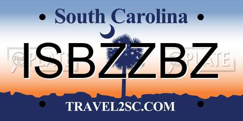 ISBZZBZ South Carolina License Plate
