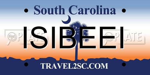 ISIBEEI South Carolina License Plate