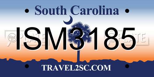 ISM3185 South Carolina License Plate