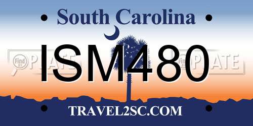 ISM480 South Carolina License Plate