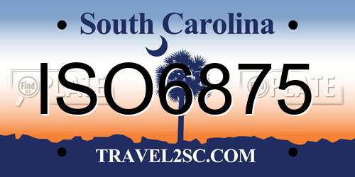 ISO6875 South Carolina License Plate