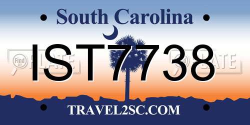 IST7738 South Carolina License Plate