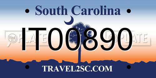 IT00890 South Carolina License Plate
