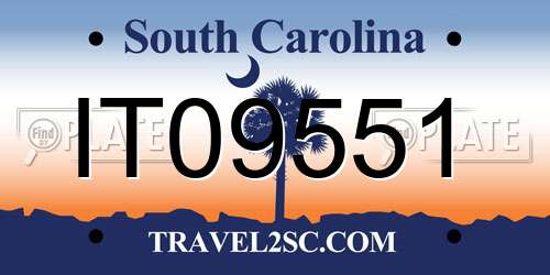 IT09551 South Carolina License Plate