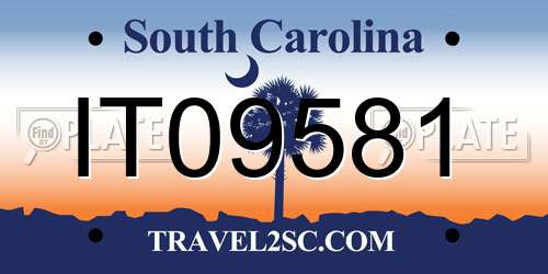 IT09581 South Carolina License Plate