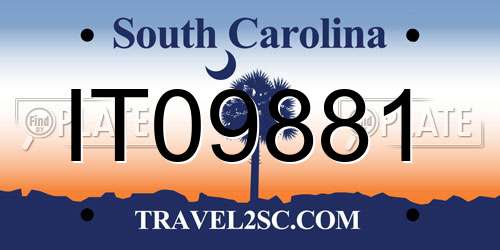 IT09881 South Carolina License Plate