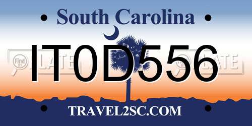 IT0D556 South Carolina License Plate