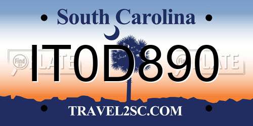IT0D890 South Carolina License Plate