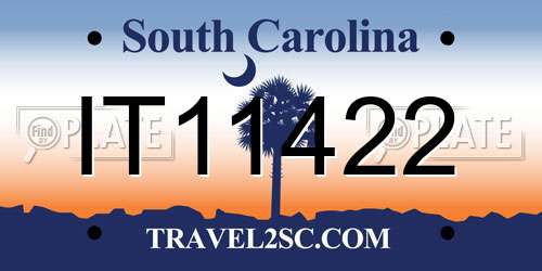 IT11422 South Carolina License Plate