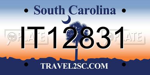 IT12831 South Carolina License Plate