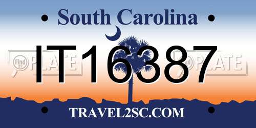 IT16387 South Carolina License Plate