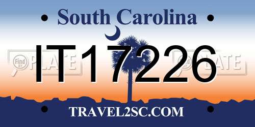 IT17226 South Carolina License Plate
