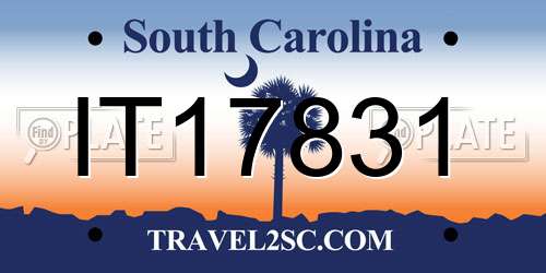 IT17831 South Carolina License Plate