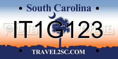 IT1G123 South Carolina License Plate