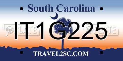 IT1G225 South Carolina License Plate