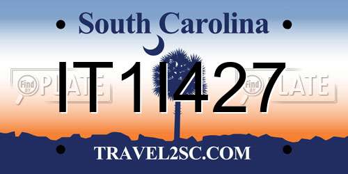 IT1I427 South Carolina License Plate