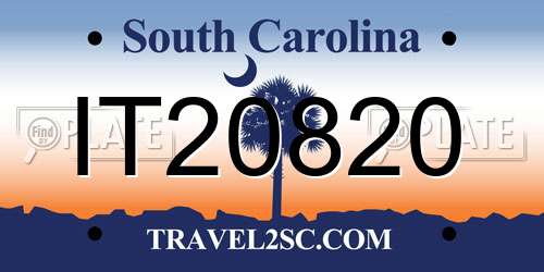 IT20820 South Carolina License Plate