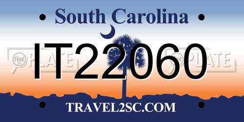 IT22060 South Carolina License Plate