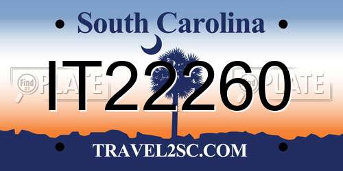 IT22260 South Carolina License Plate