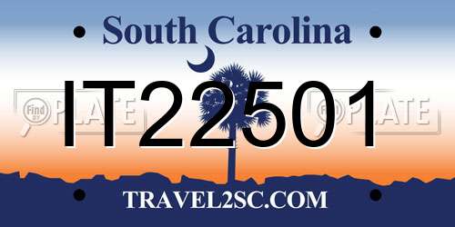 IT22501 South Carolina License Plate