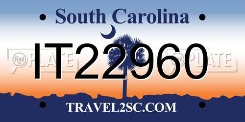 IT22960 South Carolina License Plate