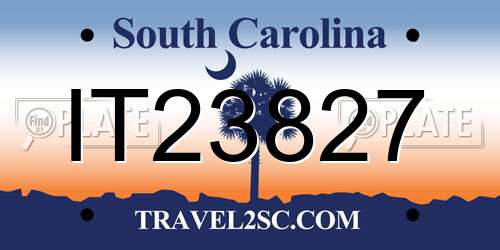 IT23827 South Carolina License Plate