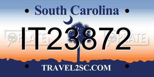 IT23872 South Carolina License Plate