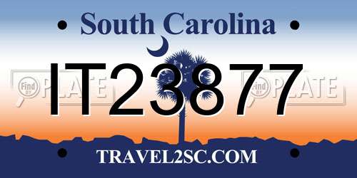 IT23877 South Carolina License Plate
