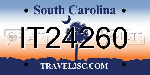 IT24260 South Carolina License Plate