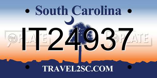 IT24937 South Carolina License Plate
