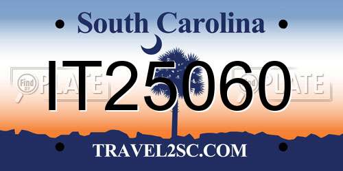 IT25060 South Carolina License Plate