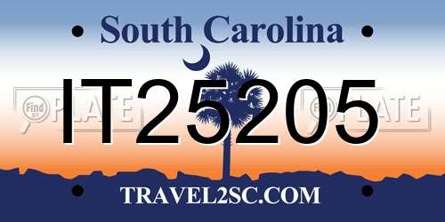IT25205 South Carolina License Plate