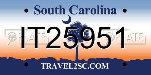IT25951 South Carolina License Plate