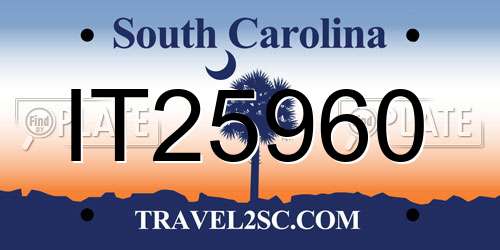 IT25960 South Carolina License Plate