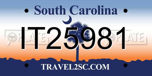 IT25981 South Carolina License Plate