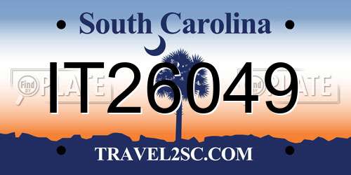 IT26049 South Carolina License Plate