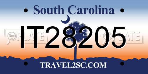 IT28205 South Carolina License Plate