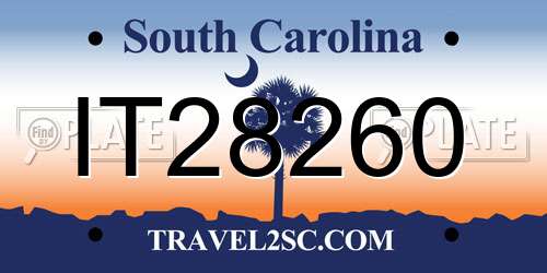 IT28260 South Carolina License Plate