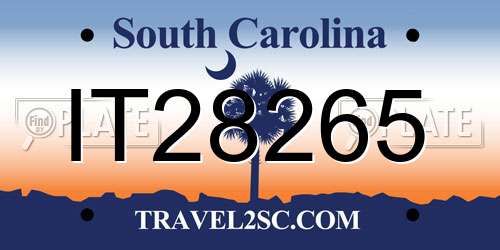 IT28265 South Carolina License Plate