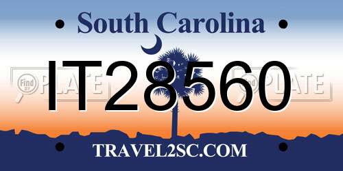 IT28560 South Carolina License Plate