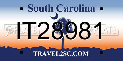 IT28981 South Carolina License Plate