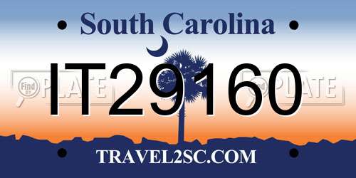 IT29160 South Carolina License Plate