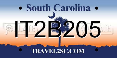 IT2B205 South Carolina License Plate
