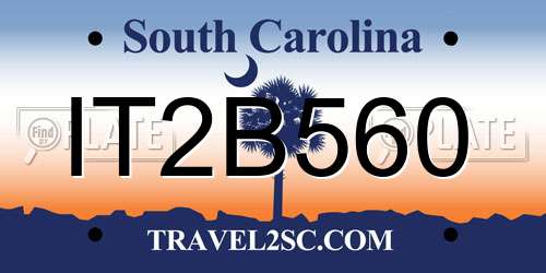 IT2B560 South Carolina License Plate