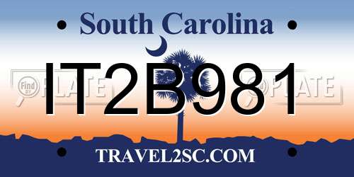 IT2B981 South Carolina License Plate