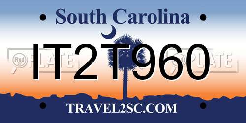 IT2T960 South Carolina License Plate