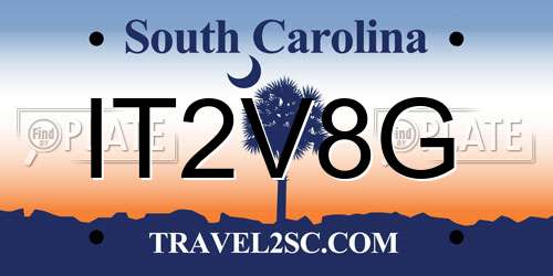 IT2V8G South Carolina License Plate