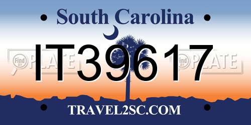 IT39617 South Carolina License Plate